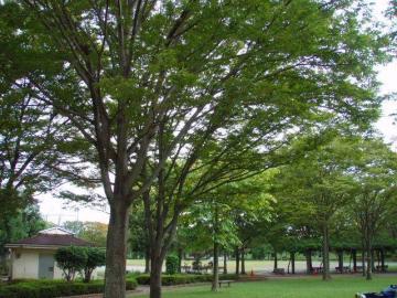 多田羅田公園