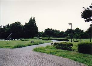 浦幡新田公園（写真1）