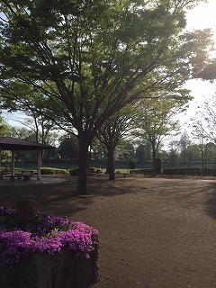 高花公園2