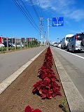 千葉県アダプトプログラム