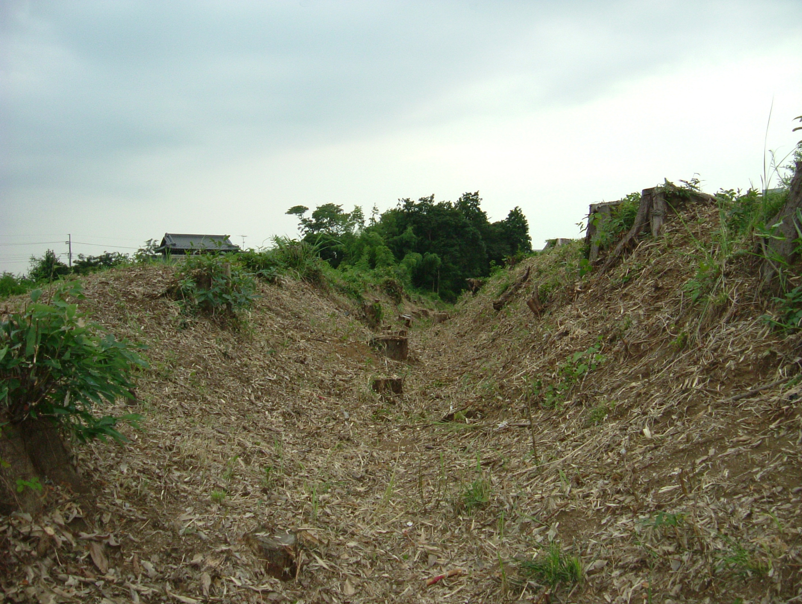 泉新田大木戸野馬堀遺跡