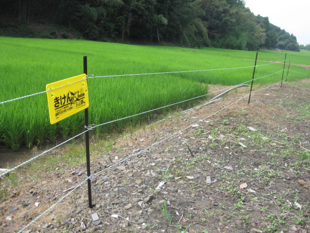 イノシシ被害防止用電気柵