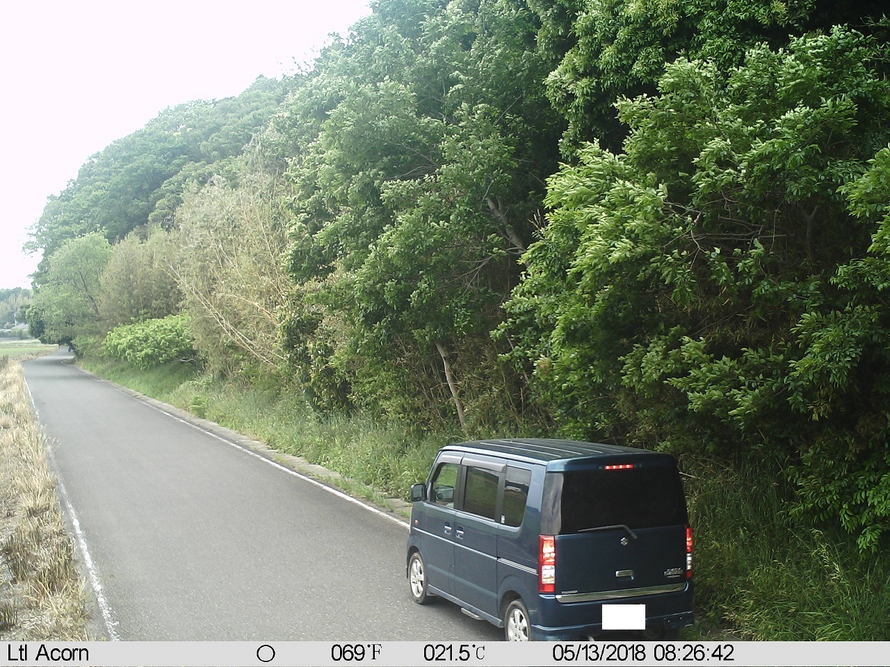 2枚目の画像では車が右車線に停車しています。