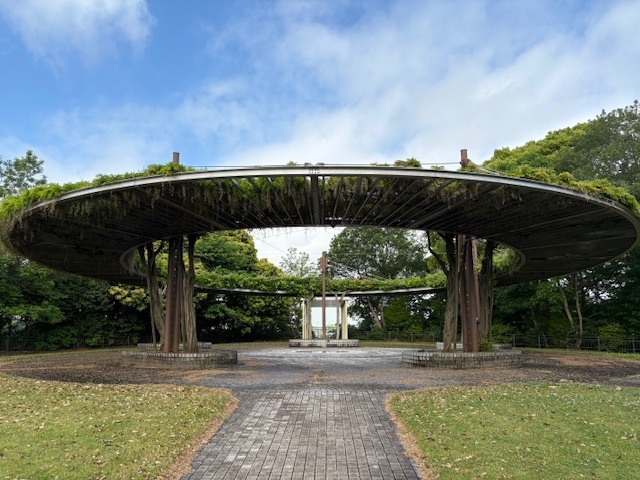 木下万葉公園の藤棚(全景)