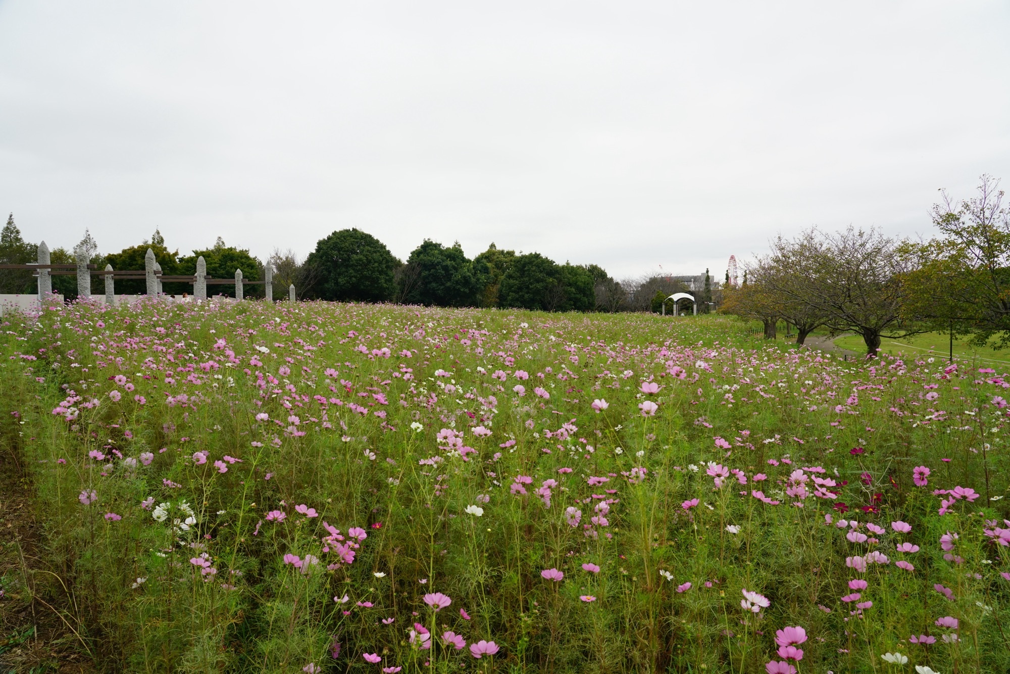 牧の原公園（丘の上から）