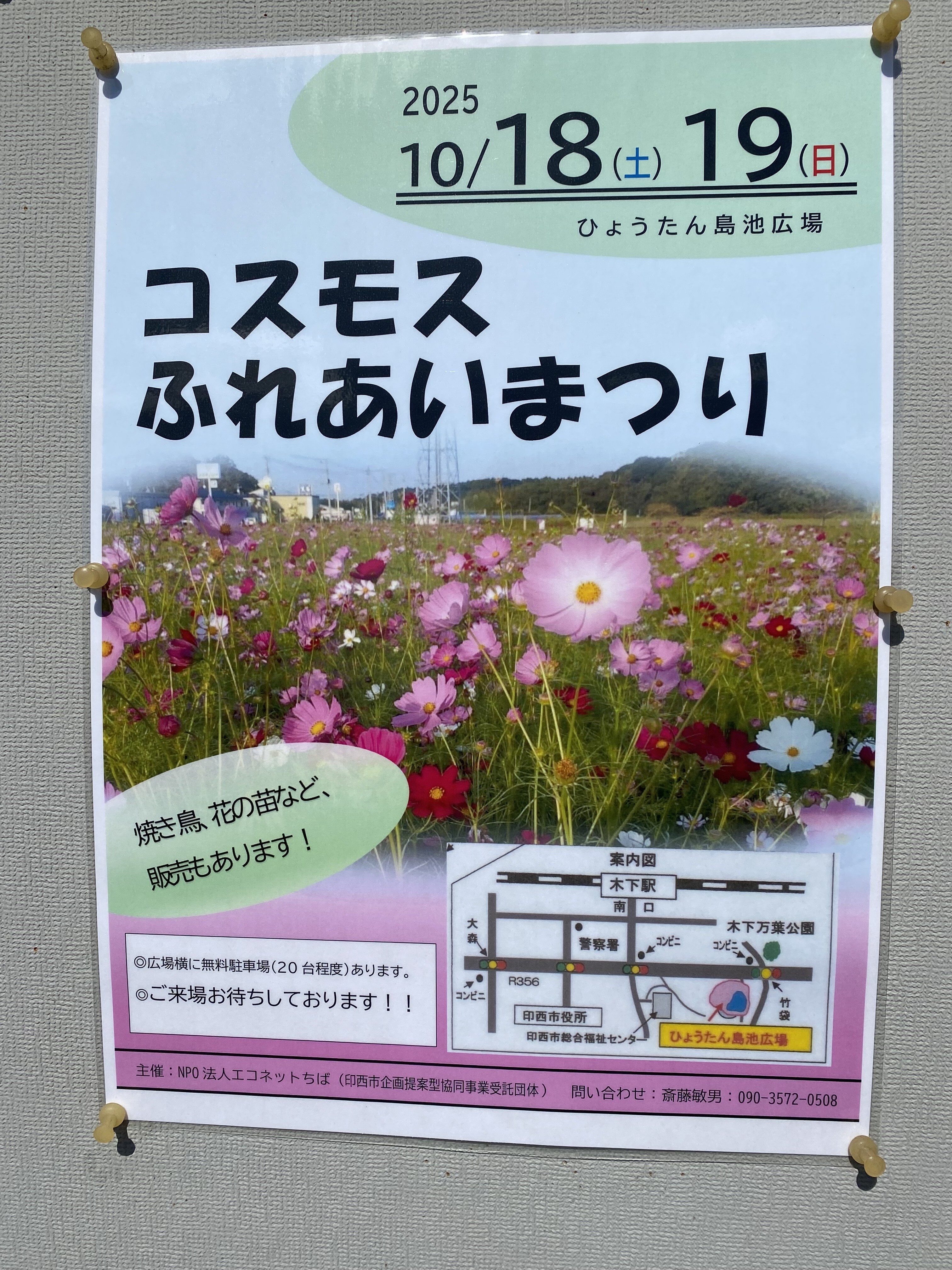 コスモスふれあいまつり