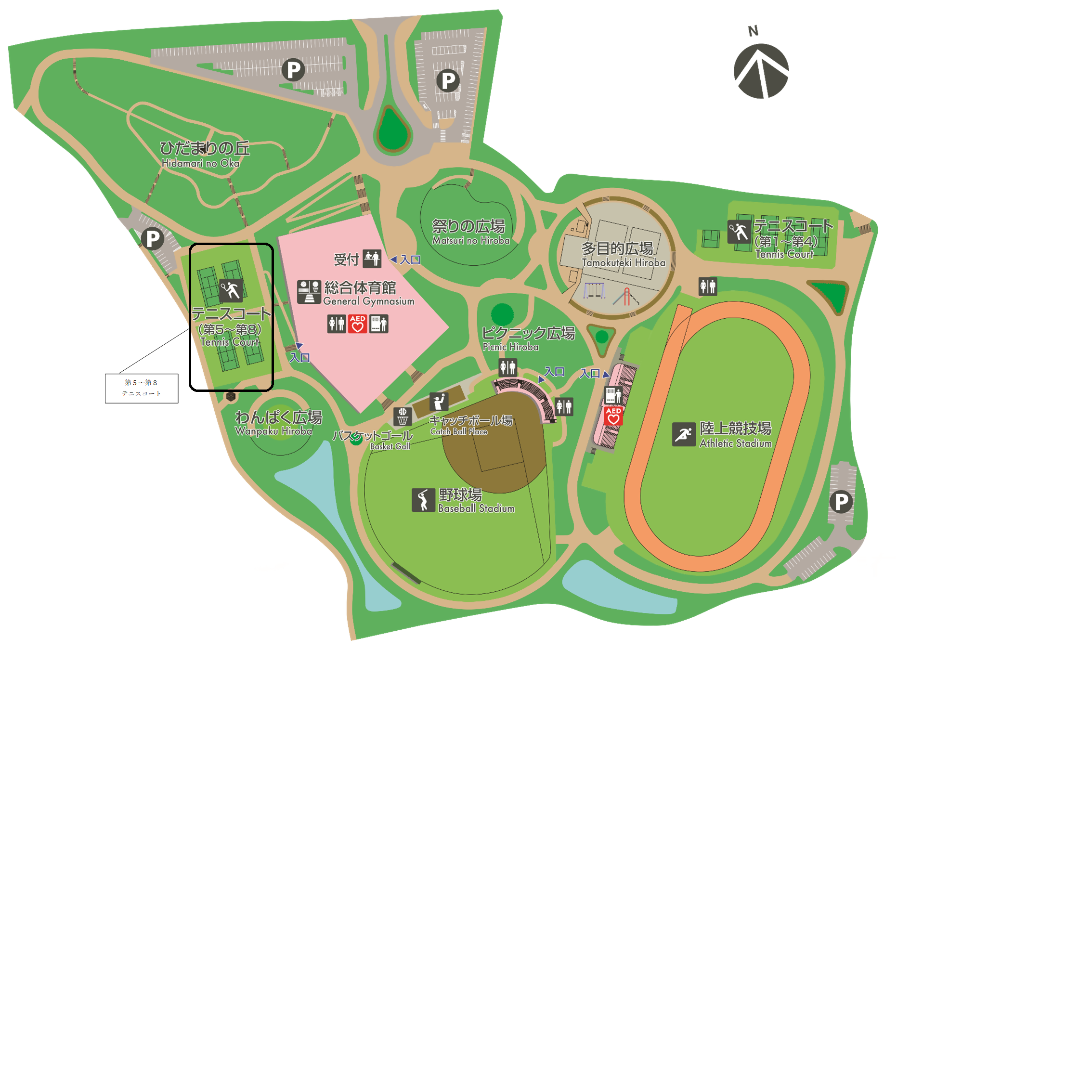 第5～第8テニスコート照明有